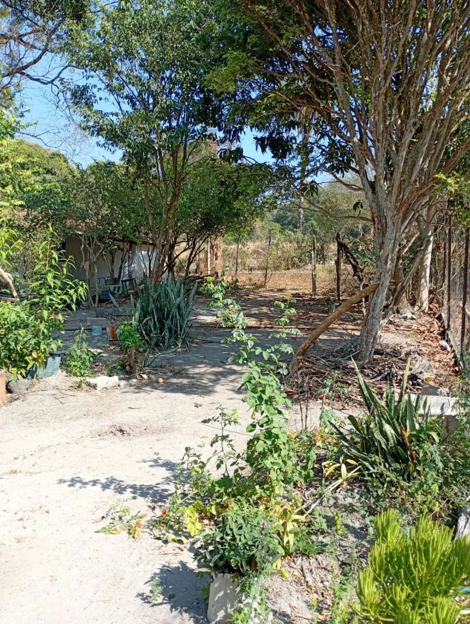 Casas em área rural  - Foto 5