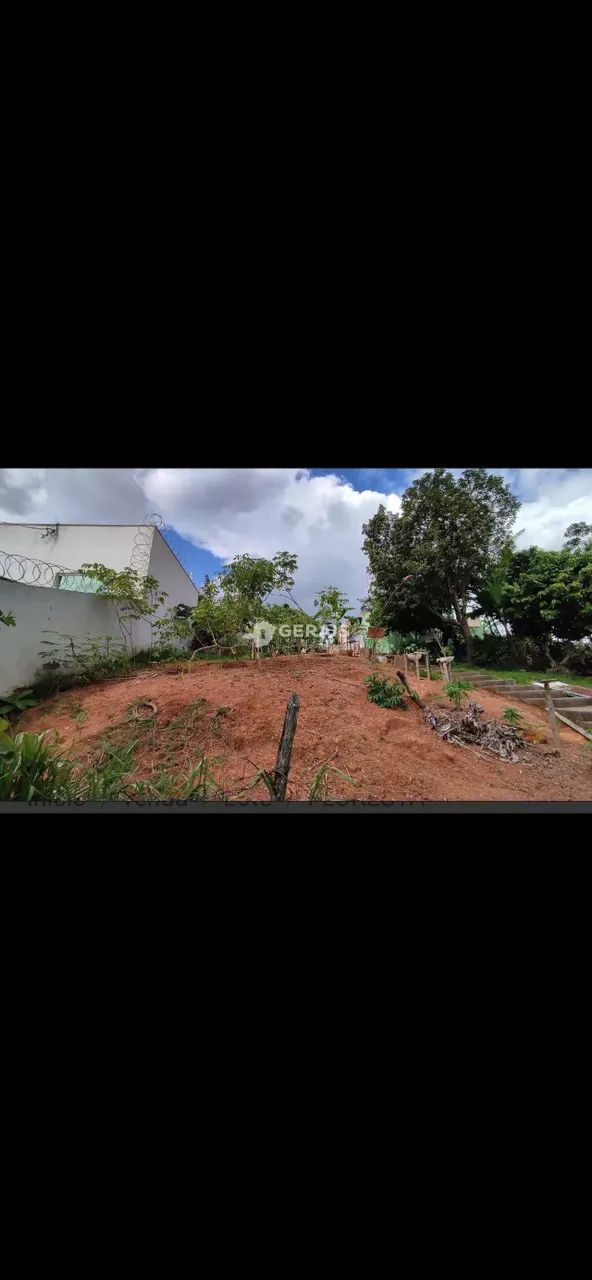 Lote bairro Floresta em Divinópolis 