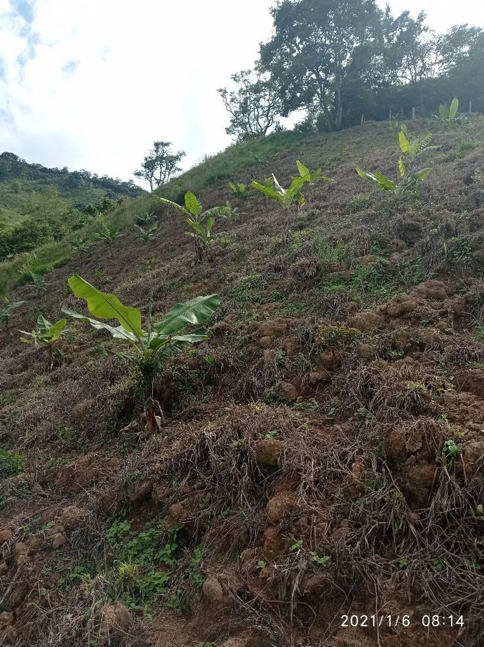 Terreno em Gonçalves MG  - Foto 3