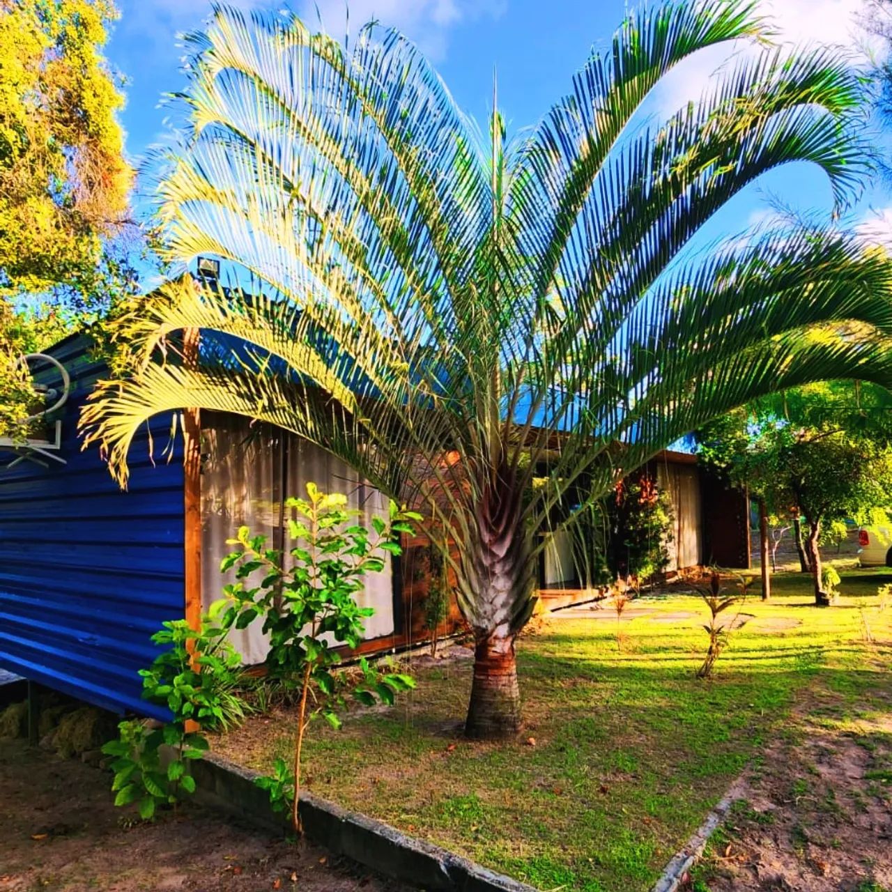 Chalé Temporada em Imbassaí - Próximo a Praia