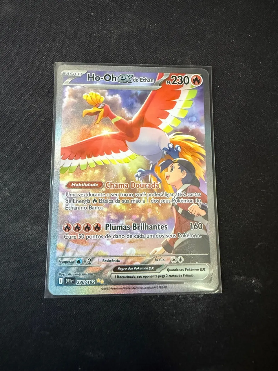 CARTA HOHO FULL ART preço 10% menor que a liga