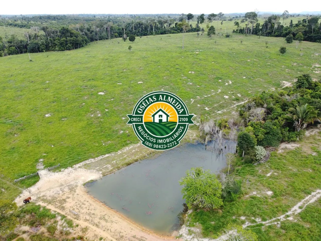 134 Hectares pronta para pecuária  - Foto 4