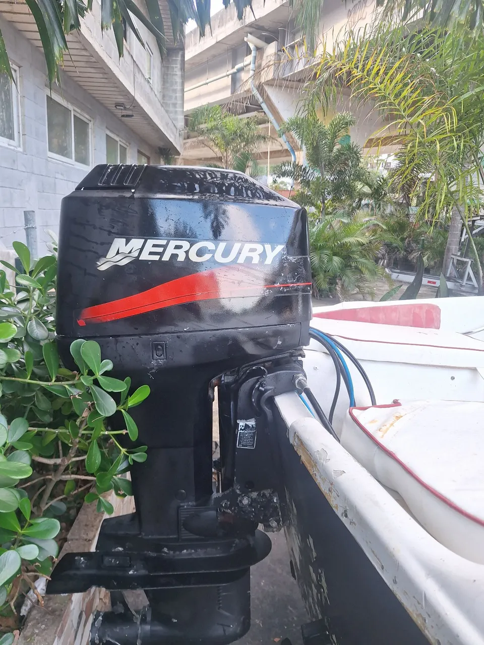 Lancha baby 15 motor 75 mercury