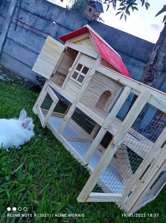 Viveiro para coelho sob medida  - Foto 2