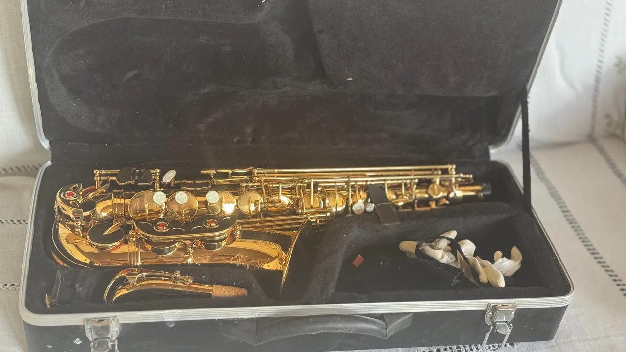 ? SAXOFONE ALTO WINNER DOURADO - EXCELENTE ESTADO