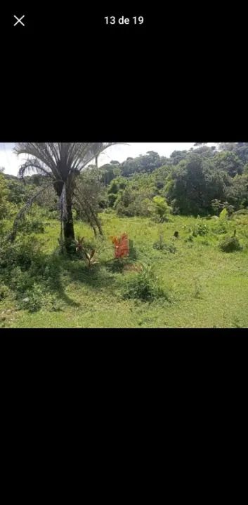 Chácara em Aldeia com 5000m - Foto 14