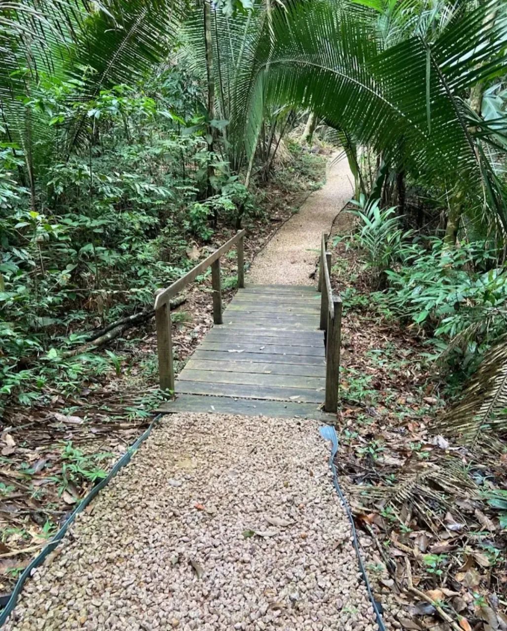 Vendo um Terreno no Condomínio  Ecoville - Foto 3