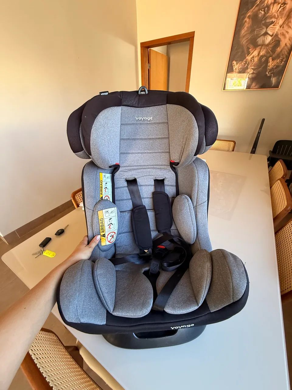 VENDO CADEIRA INFANTIL PARA CARRO