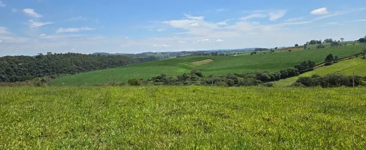 Terreno Campo Verde - Foto 4