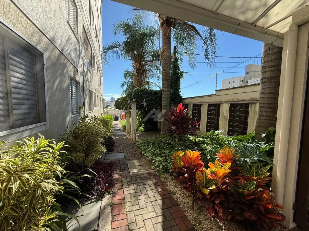 apartamento - São Bernardo - Campinas - Foto 5