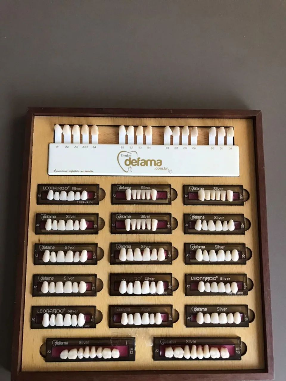 Quadro com Dentes Leonardo e Escala Defama - Foto 4
