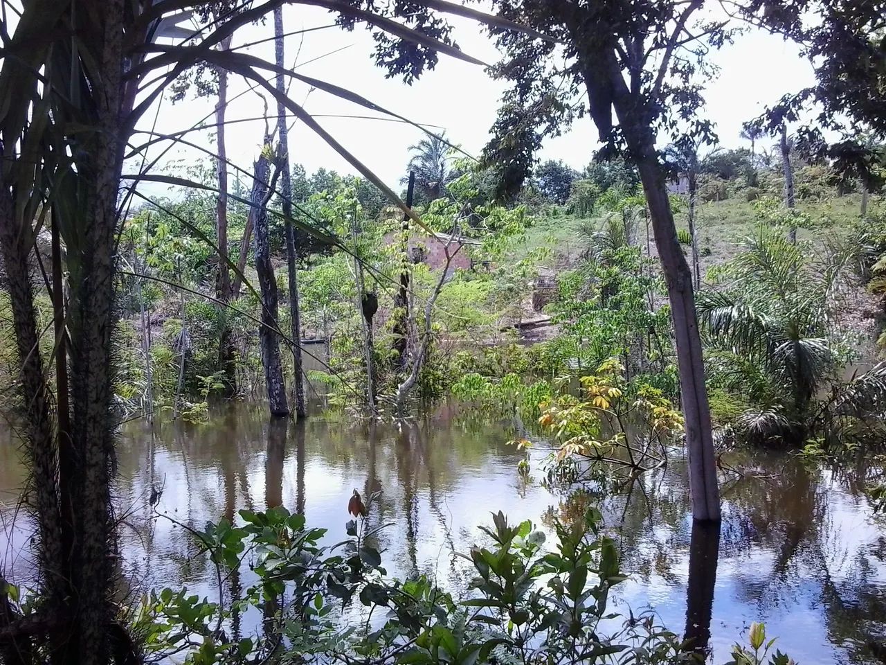Ótimo terreno em Iranduba