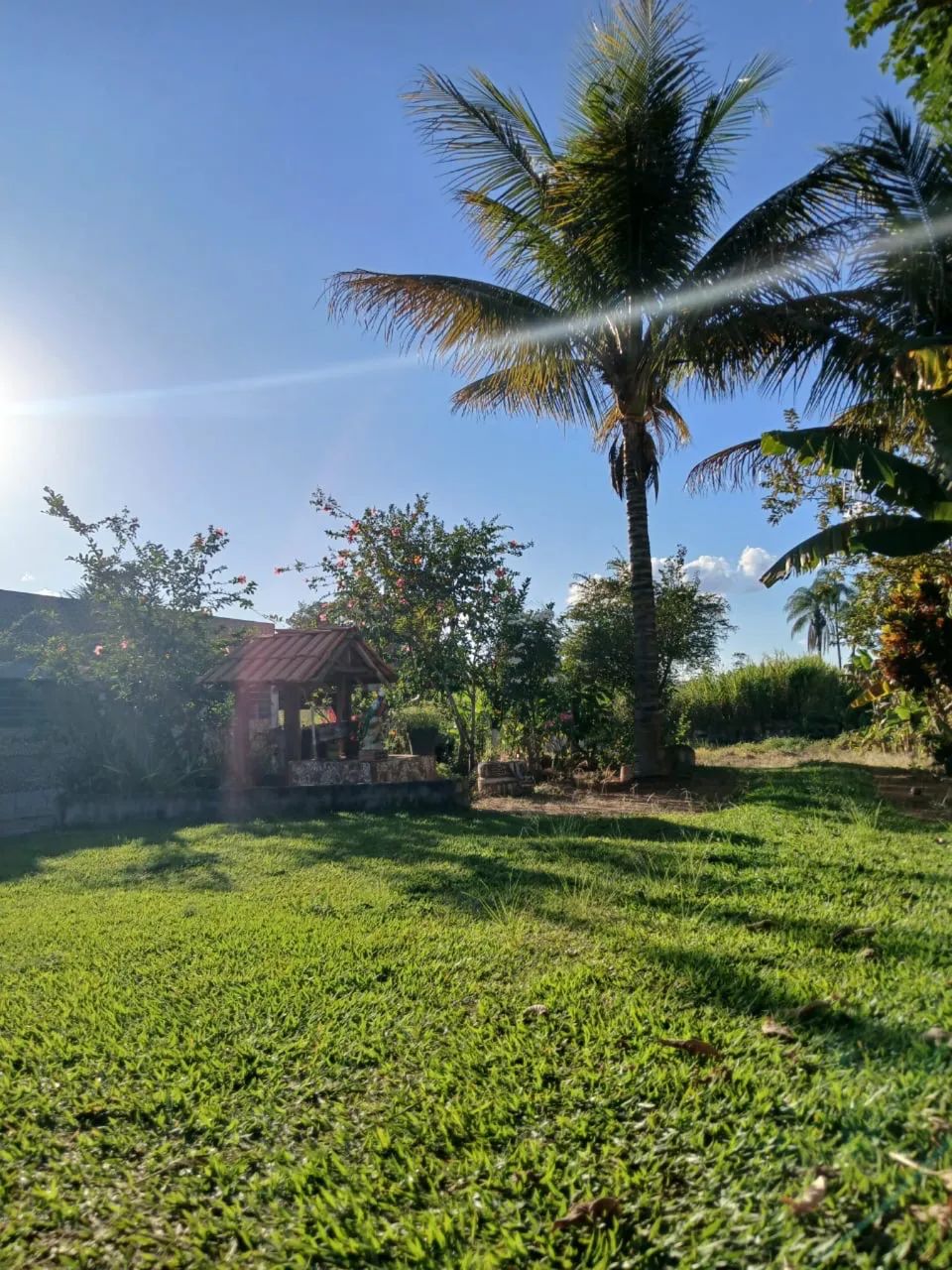 Vendo chácara/ sítio em São João da Aliança - GO - Foto 4