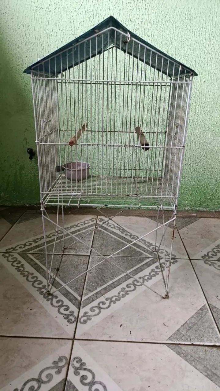 Viveiro pequeno  - Foto 2