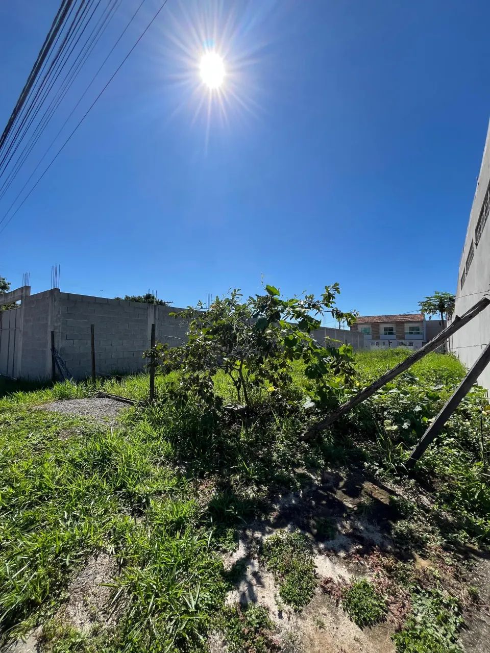 LOTE À VENDA NO SOLAR DO PORTO  SERRA - Foto 2