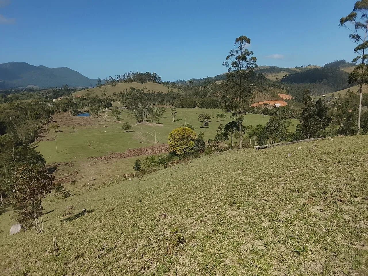 LINDO SÍTIO EM LARANJAL !  - Foto 2