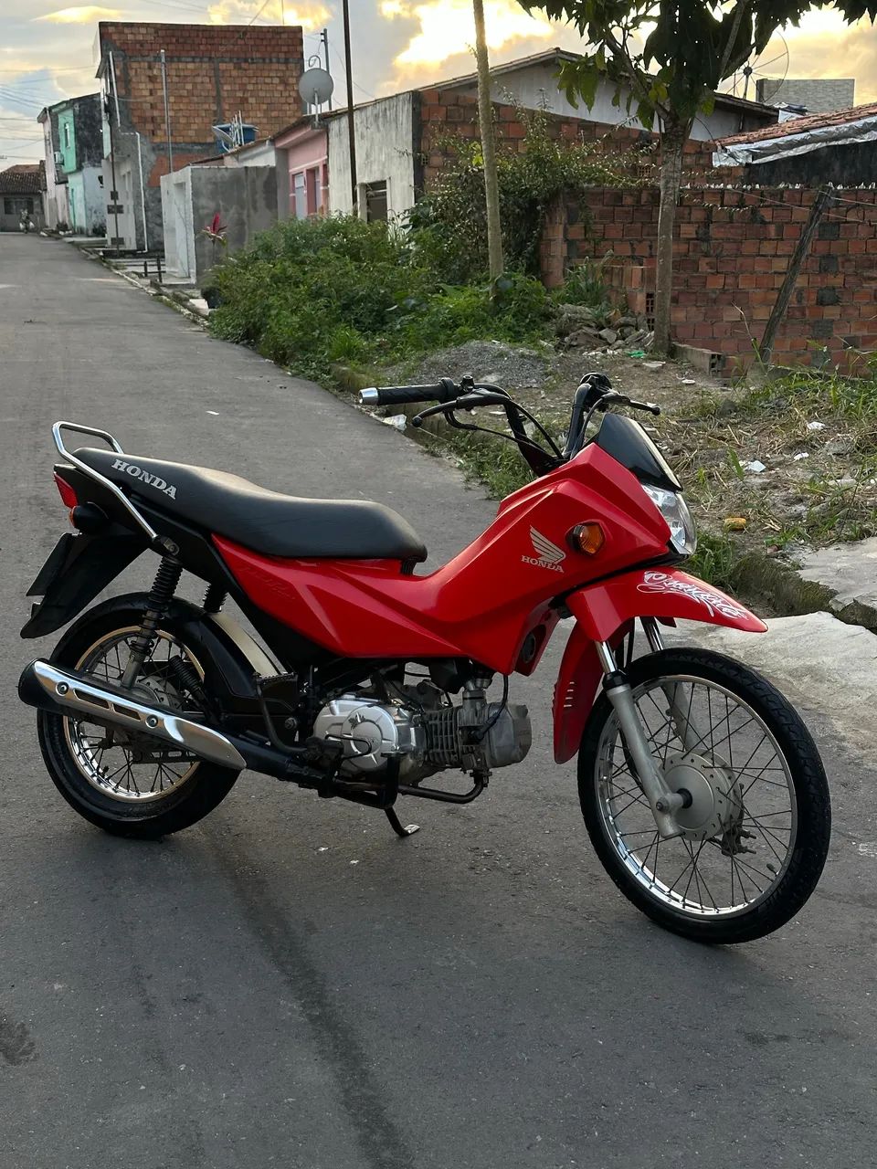 Honda pop 110 2020