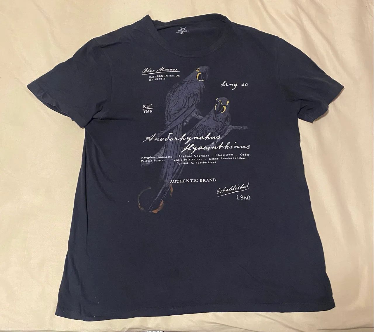 Camisa Hering G