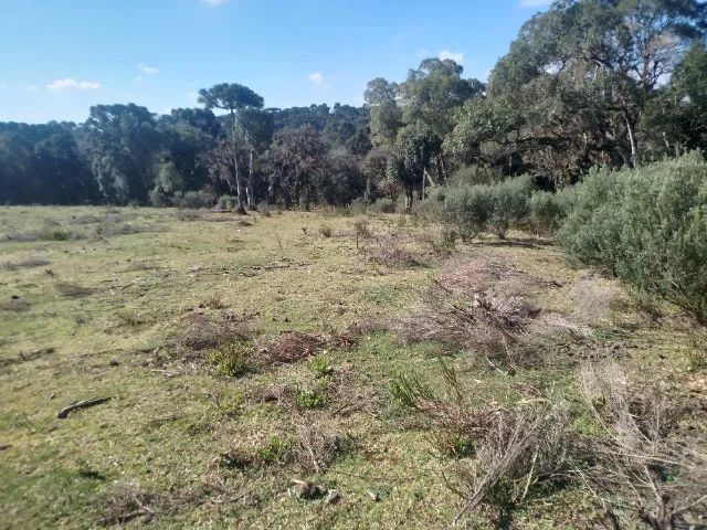 Chácara a venda  - Foto 2