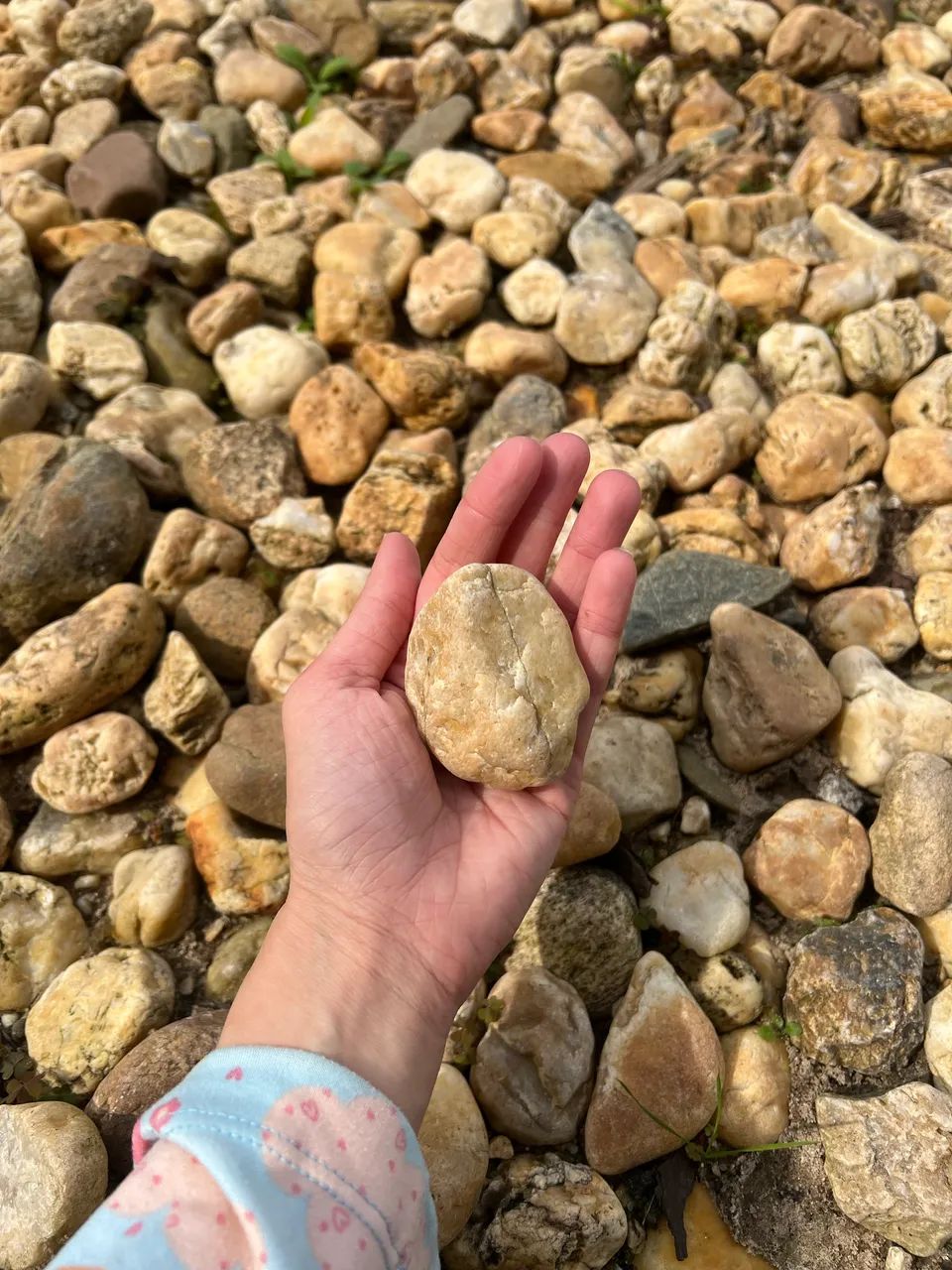 Pedra seixo n2  - Foto 2