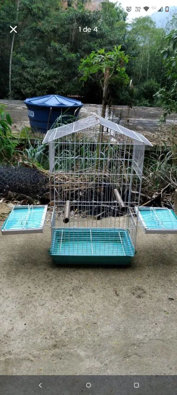 Gaiola calopsita  - Foto 2