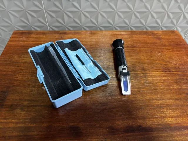 Aquário Marinho para iniciantes - Foto 6