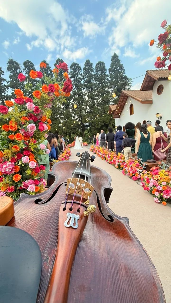 Violinista e DJ para Casamentos e Eventos - Foto 2