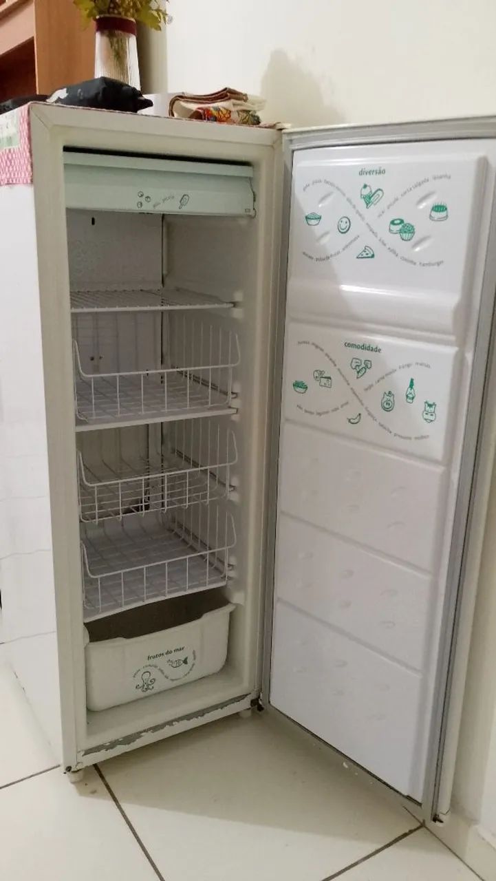 Freezer vertical (180 litros - 110v) - Foto 3