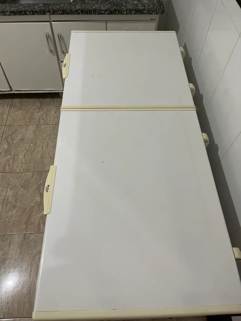 Freezer Horizontal 