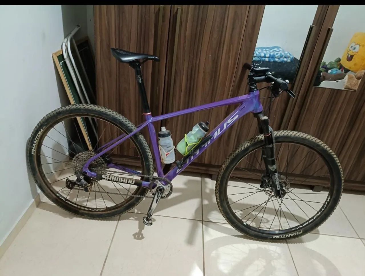 Bike 29
