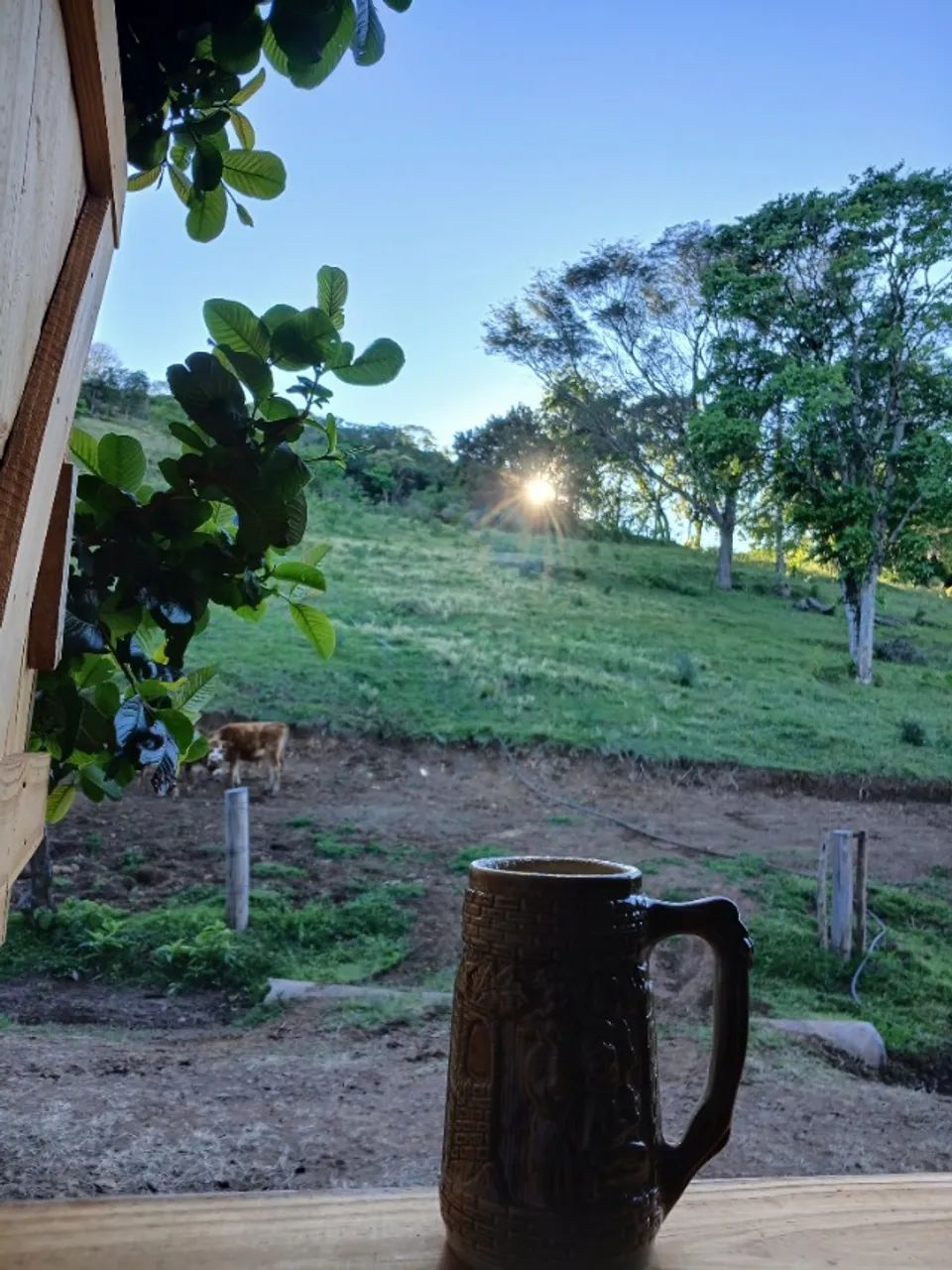 Sitio com 5ha 50000m² - Foto 5