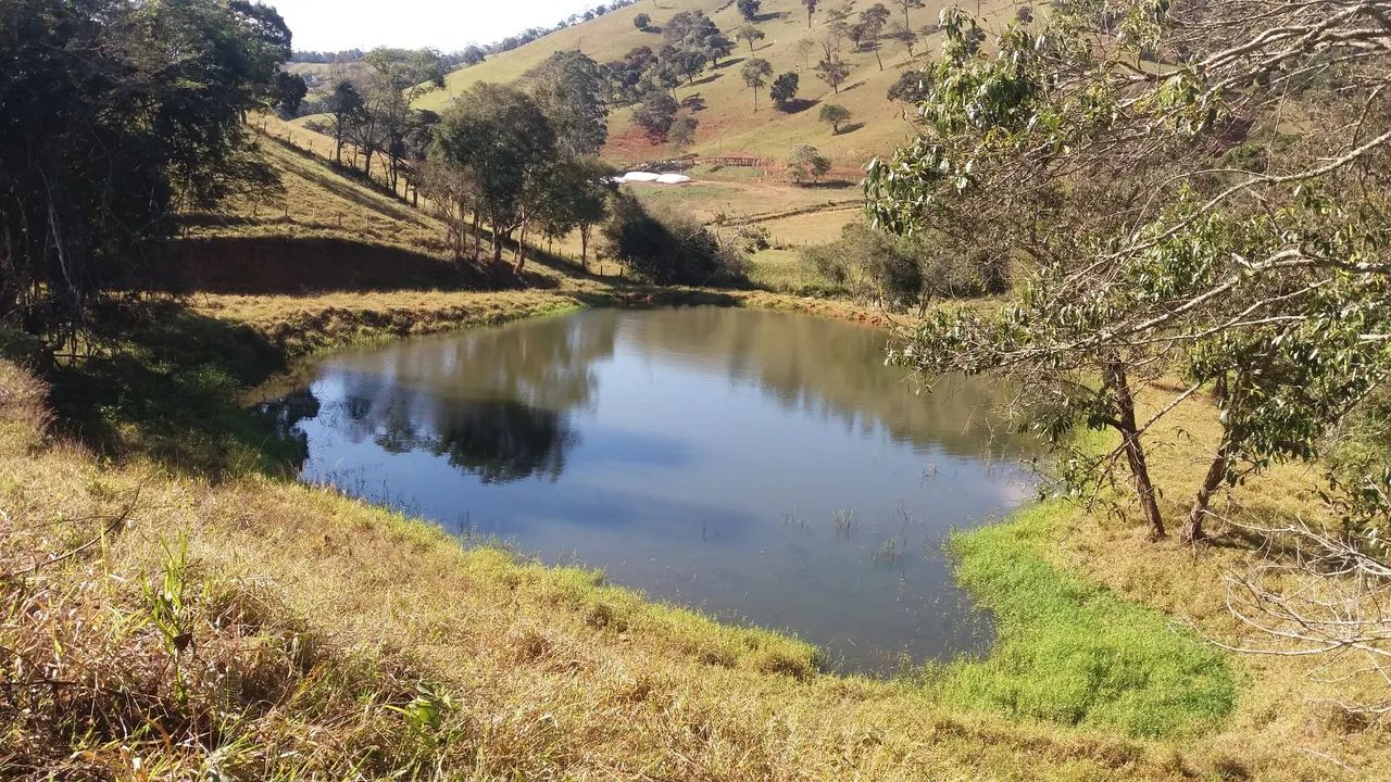 Sítio com cachoeira  - Foto 2