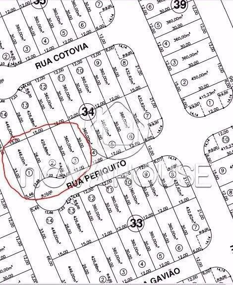 OPÇÃO DE 3 TERRENOS JUNTOS - Foto 4