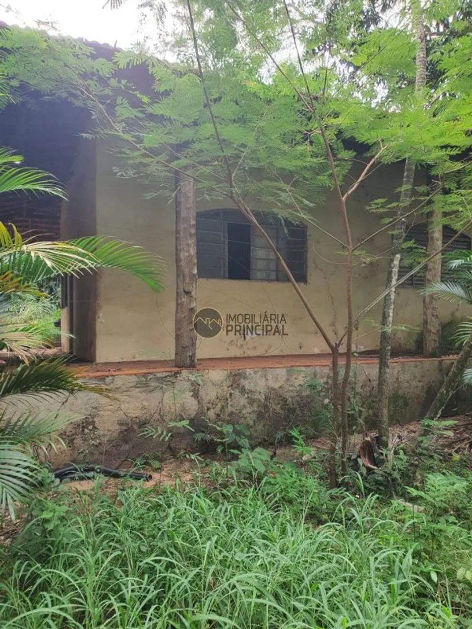 Chácara para venda com 5000 m² e 3 quartos em Chácaras Renno, Piratininga - SP - Foto 5