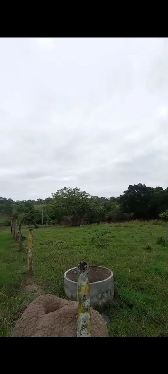 Vendo chácara urgente - Foto 5