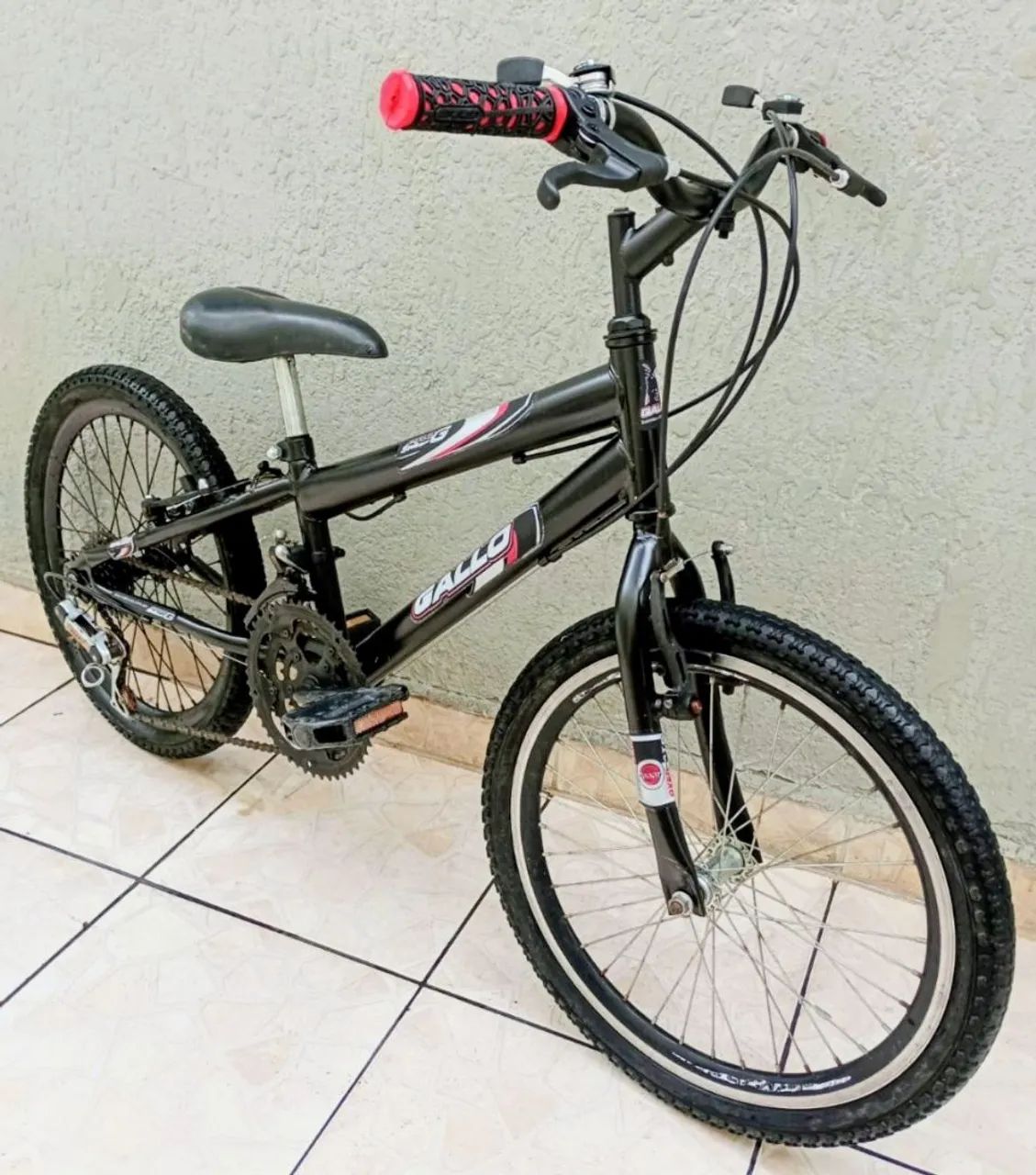 Bike aro 20 Gallo 