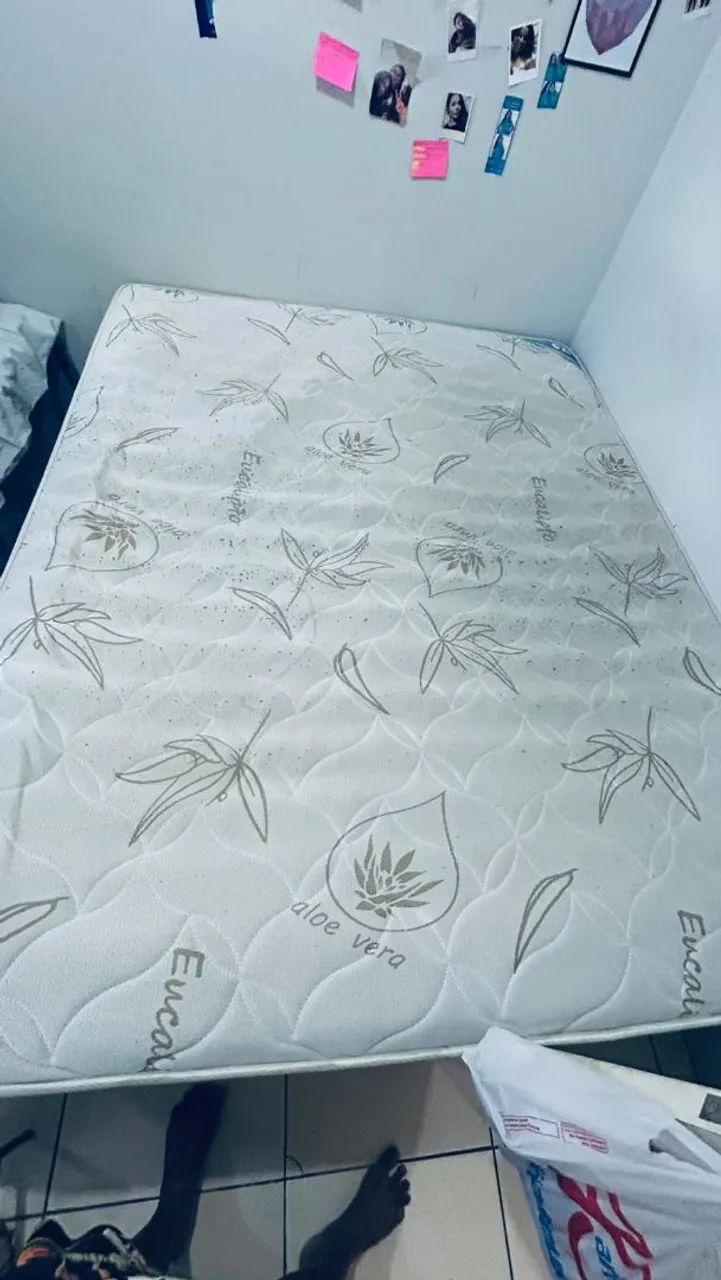 Cama