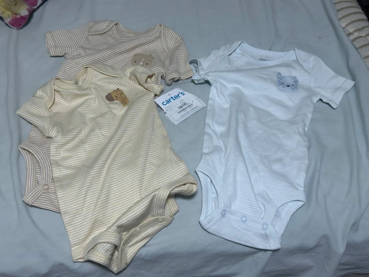 body carters