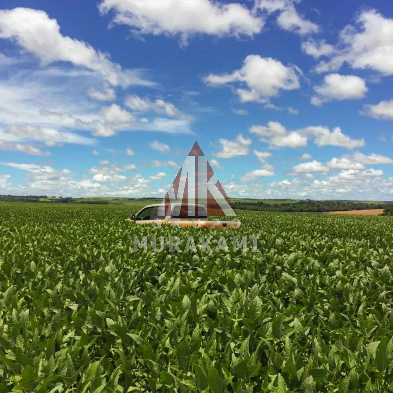 FAZENDA - FLORESTÓPOLIS - PARANÁ - Foto 3