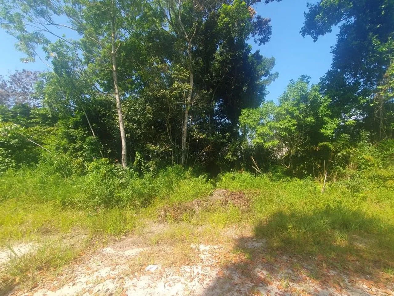 Lote / Terreno em Itapoá/SC no Brandalize - Foto 4