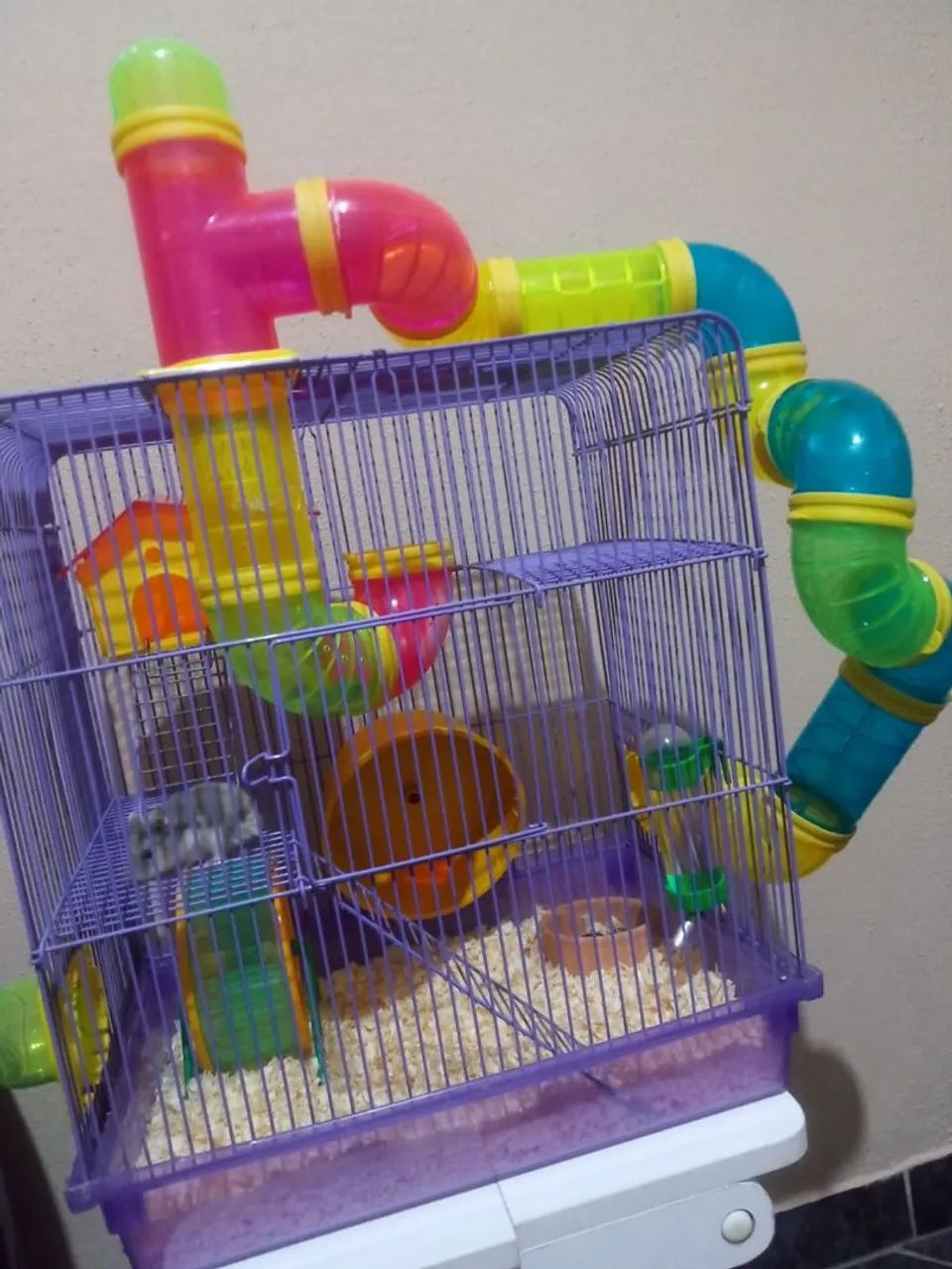 Gaiola completa de hamster