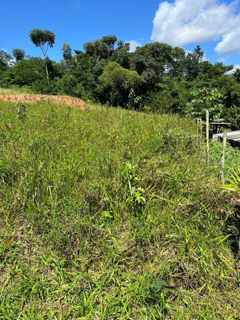 Terreno/Sitio Município de Moreno-PE - Foto 4