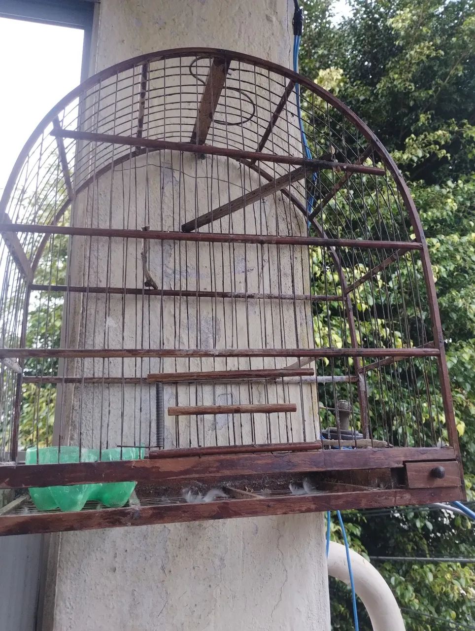 Gaiola  - Foto 2