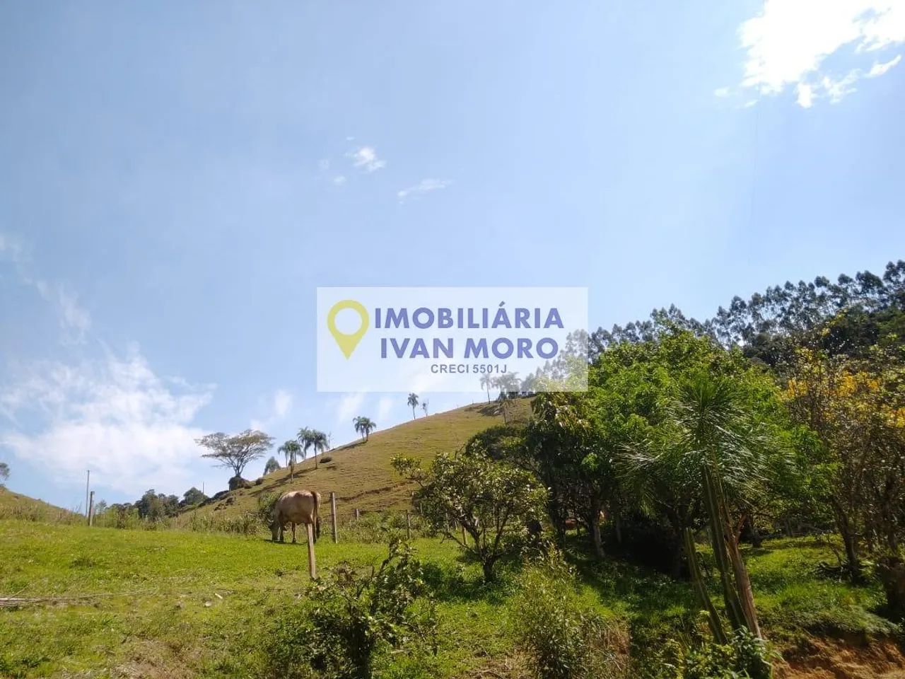 Sítio à venda em São Bonifácio - SC - Foto 3