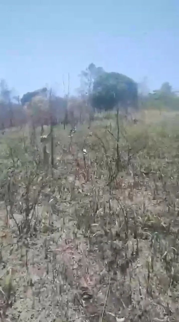 Terreno a Venda - Foto 3