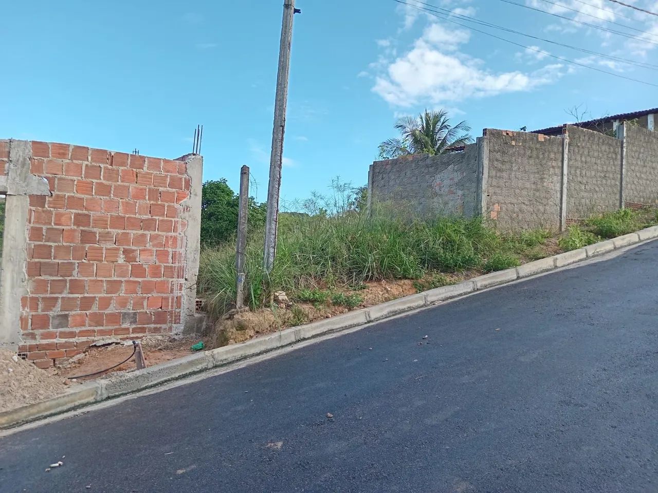 TERRENO - LOTEAMENTO PARQUE MIRAMAR (SÃO JORGE) - Foto 3