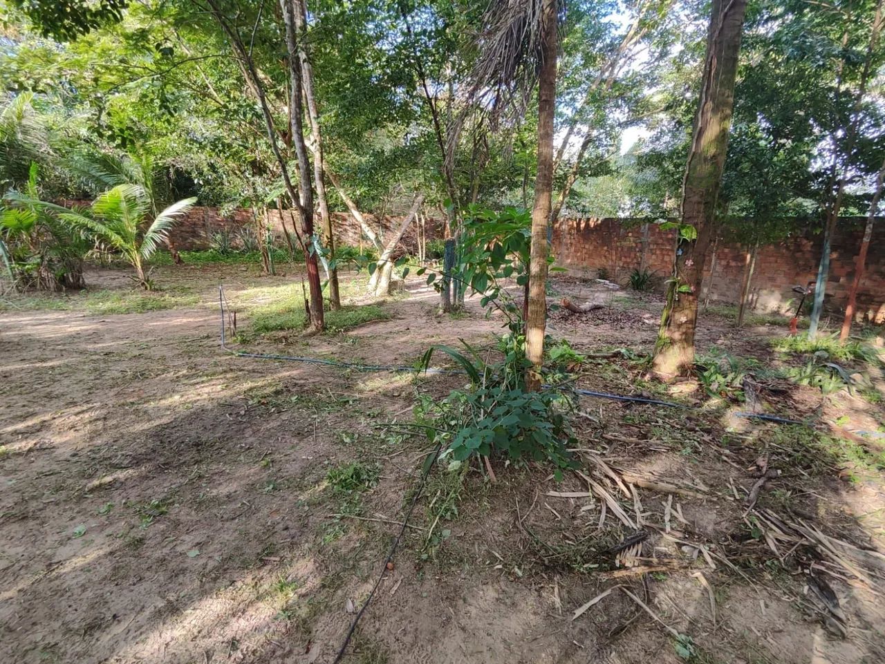 Chácara/Casa - Foto 2