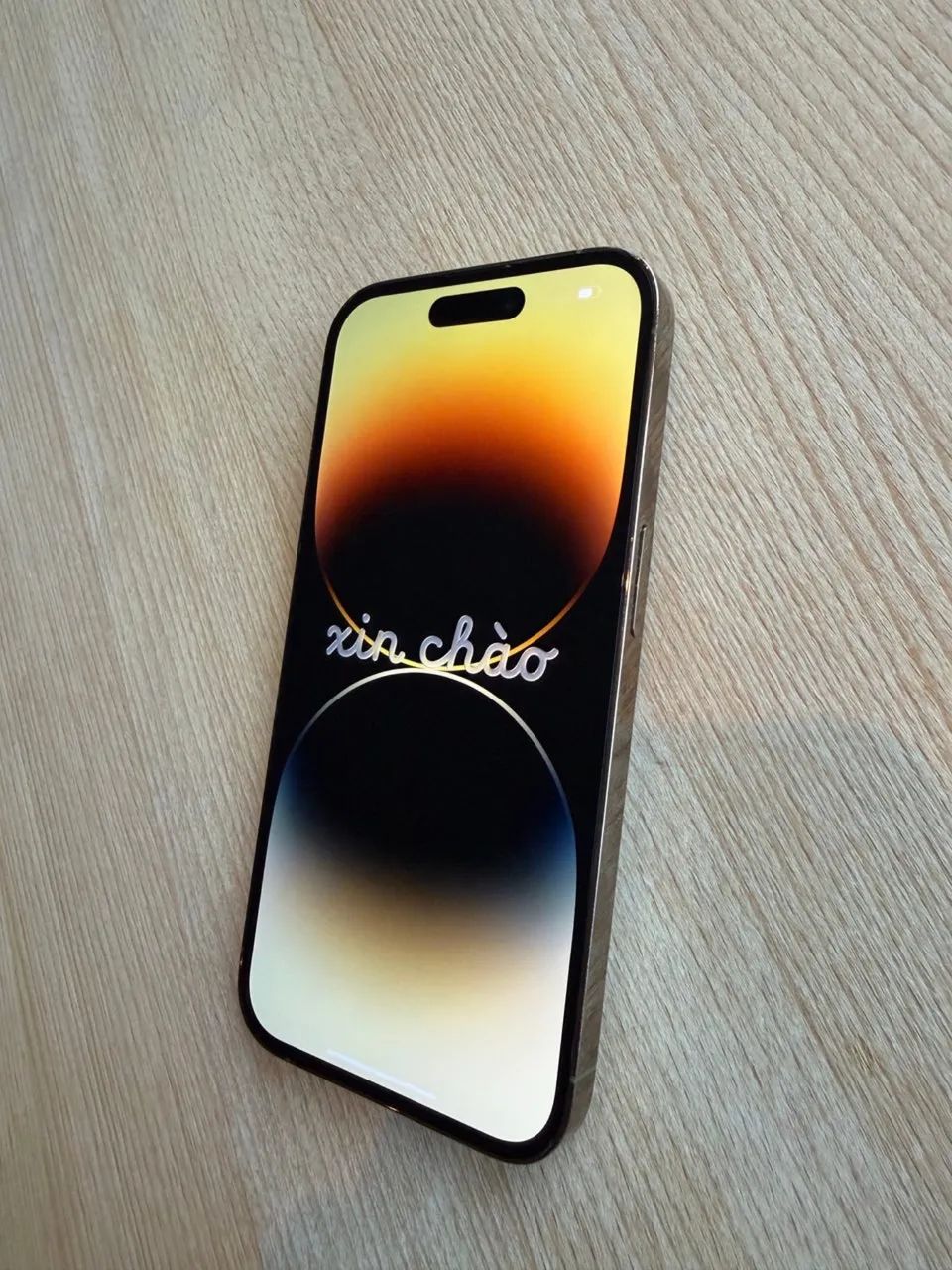 iPhone 14 pro Max Dourado 