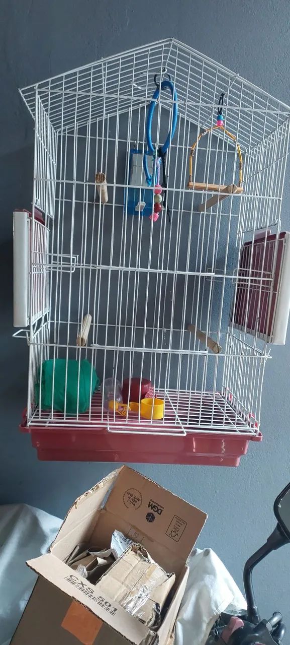 Gaiola para calopsitas 