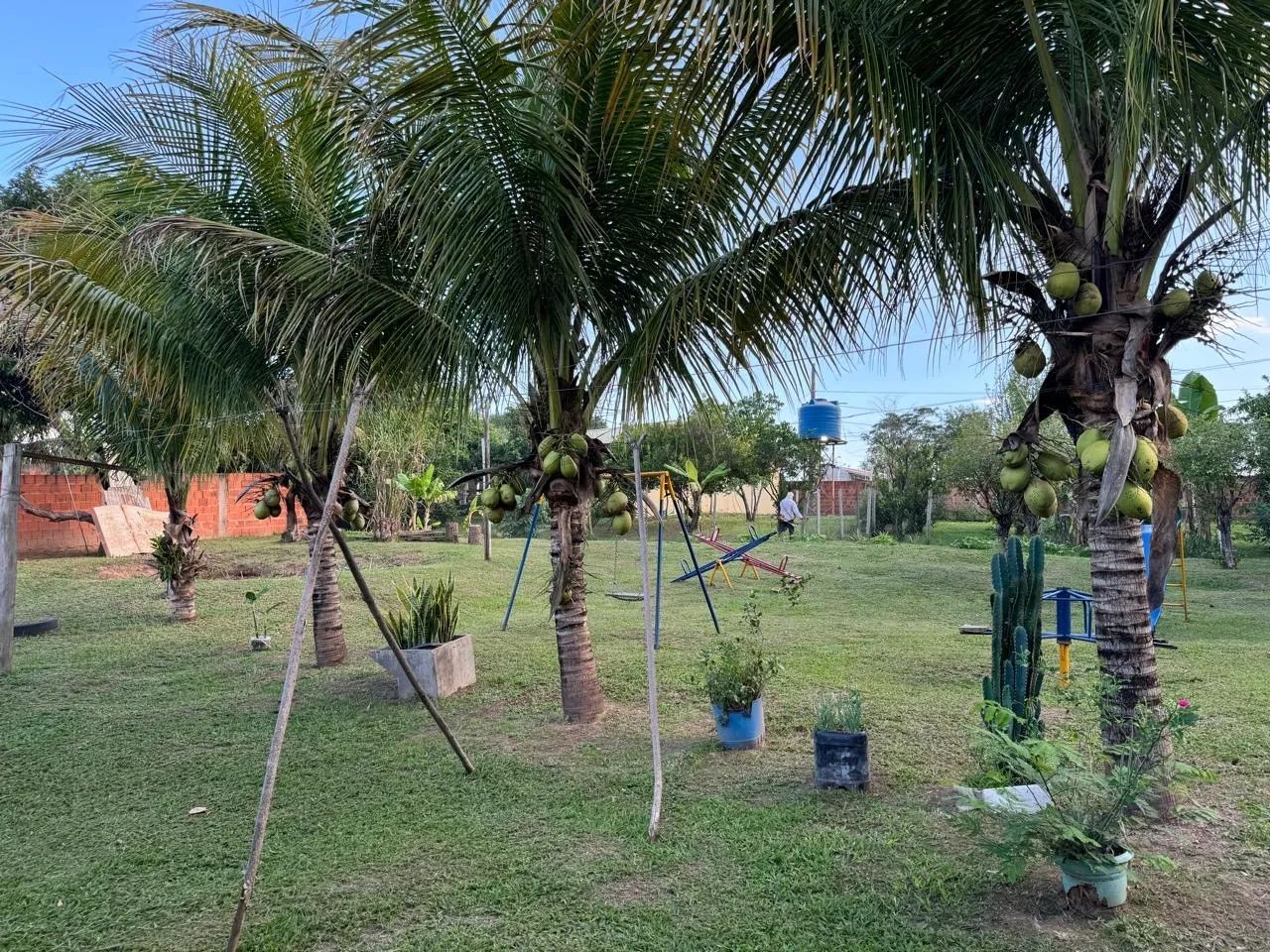 Chácara  - Foto 5